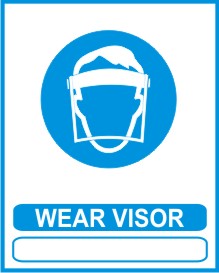WEAR VISOR
