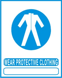 WEAR VISOR